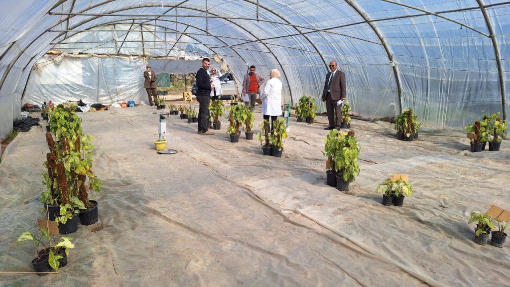 Agricultural engineering sciences are conducting a scientific study on the elimination of indoor air pollutants.