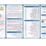 Your paragraph text(32)