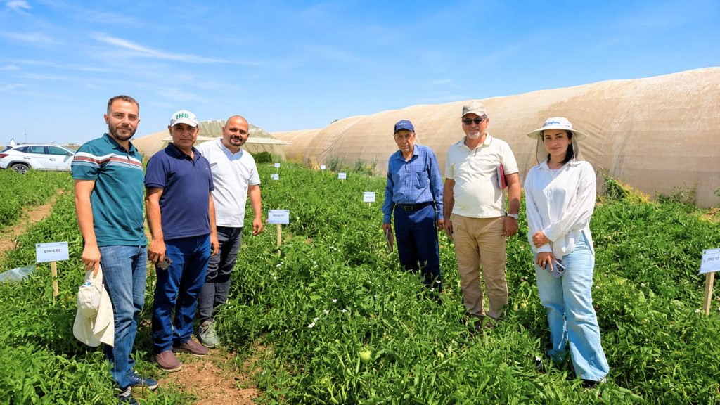 Faculty Member Participates in Tomato Hybrid Accreditation Team