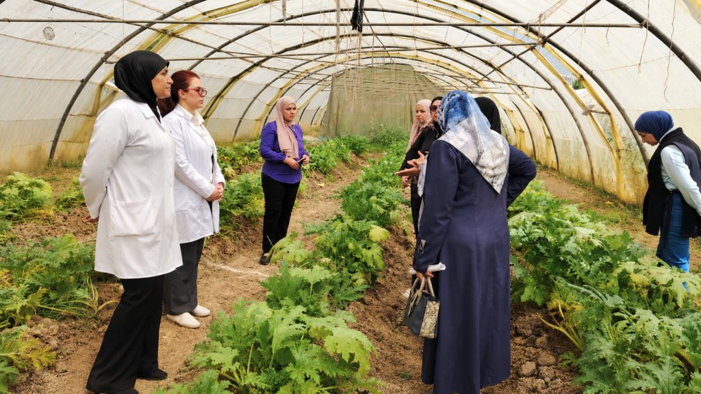 Field Evaluation of a Master’s Research on Hippodamia variegata